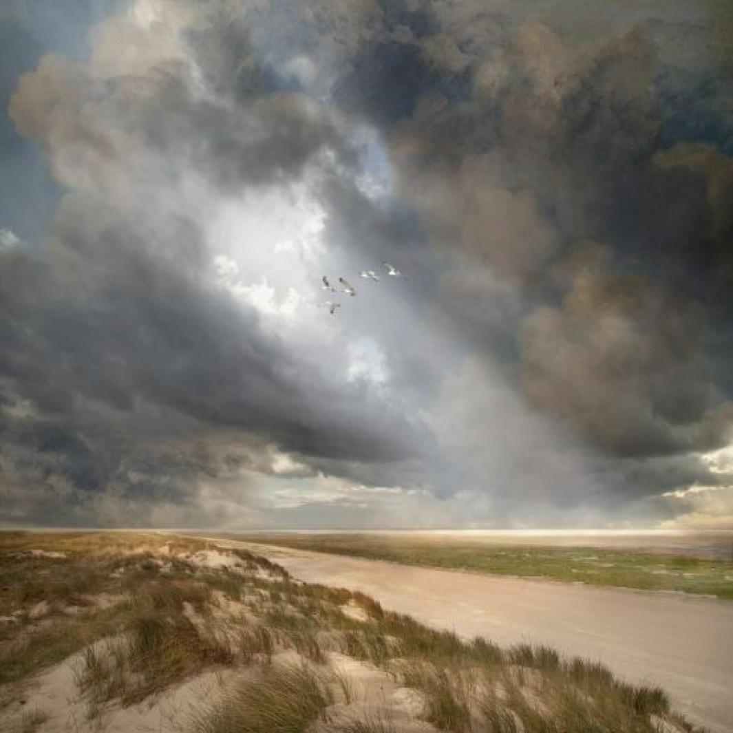 Expositie Saskia Boelsums