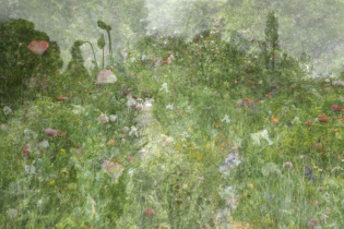 Kim Boske 